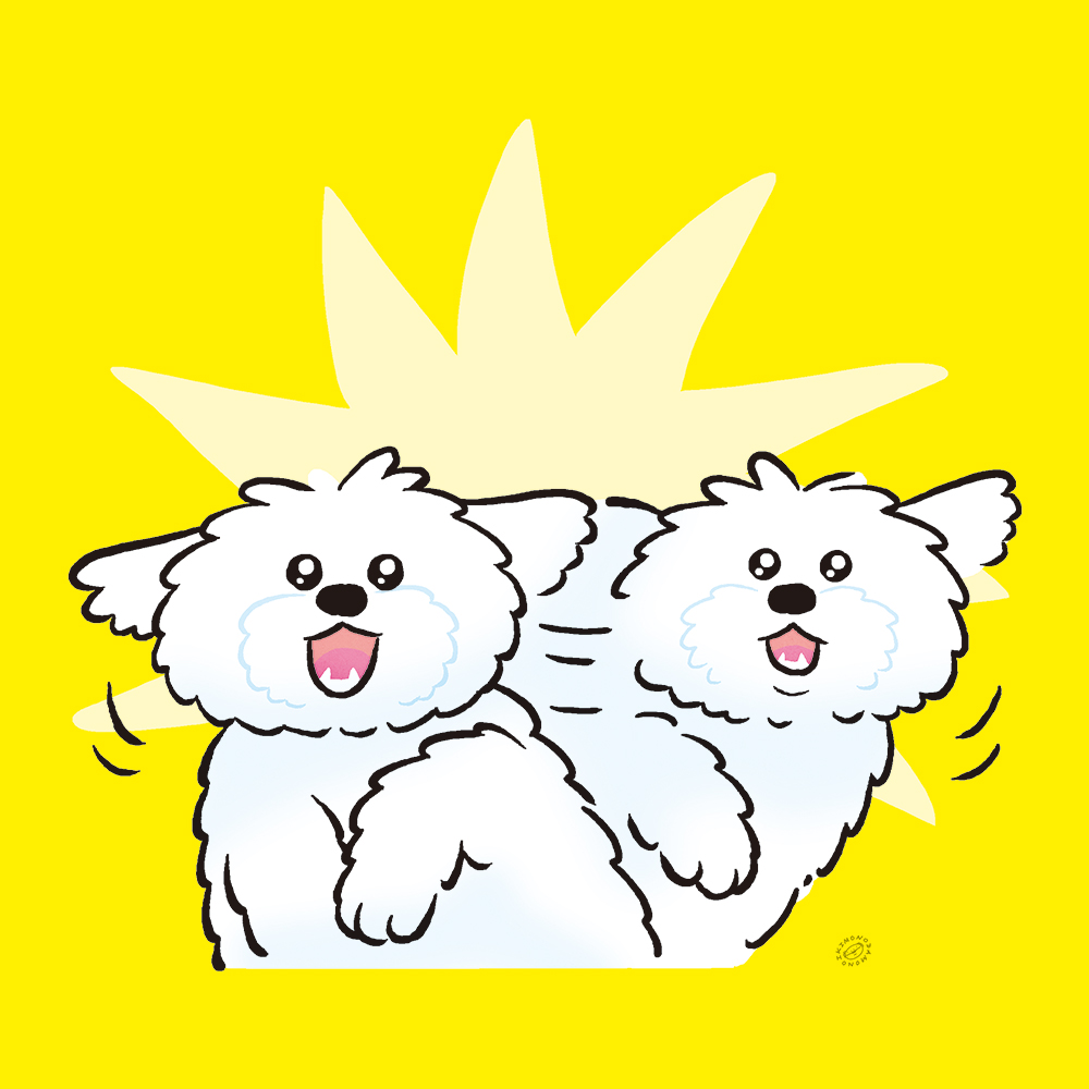 いきものだもの tweet media