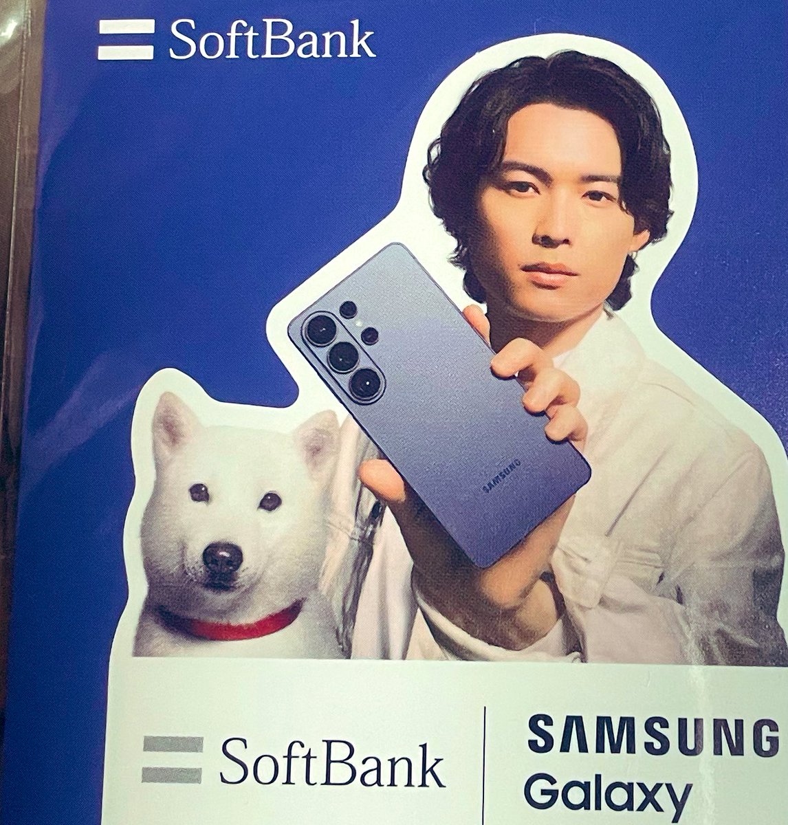 べにまる♪ tweet media