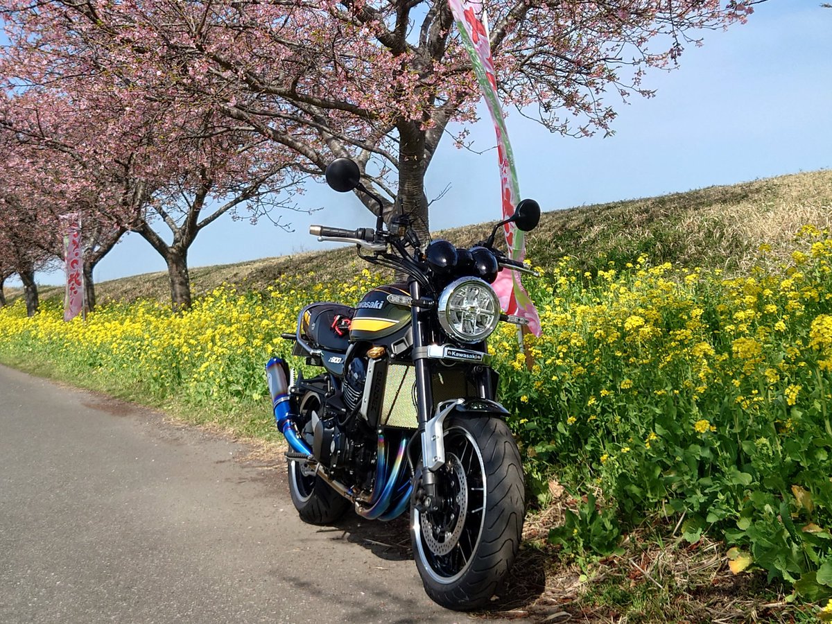 CanyonFe's tweet photo. 春を探しに🏍️💨 https://t.co/cqhnurqhr9