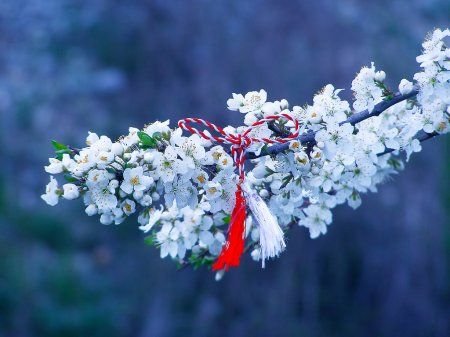 💙💛Patricia Furstenberg 🏰#WhenSecretsBloom❄️🌲 tweet media