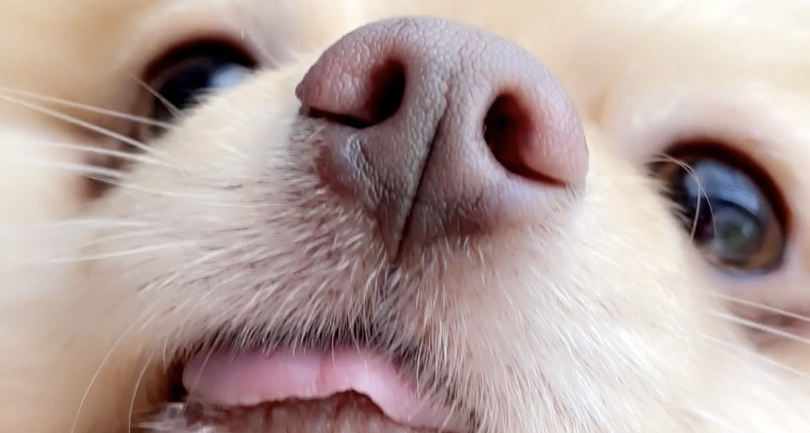 Small Might 𒉭 tweet media