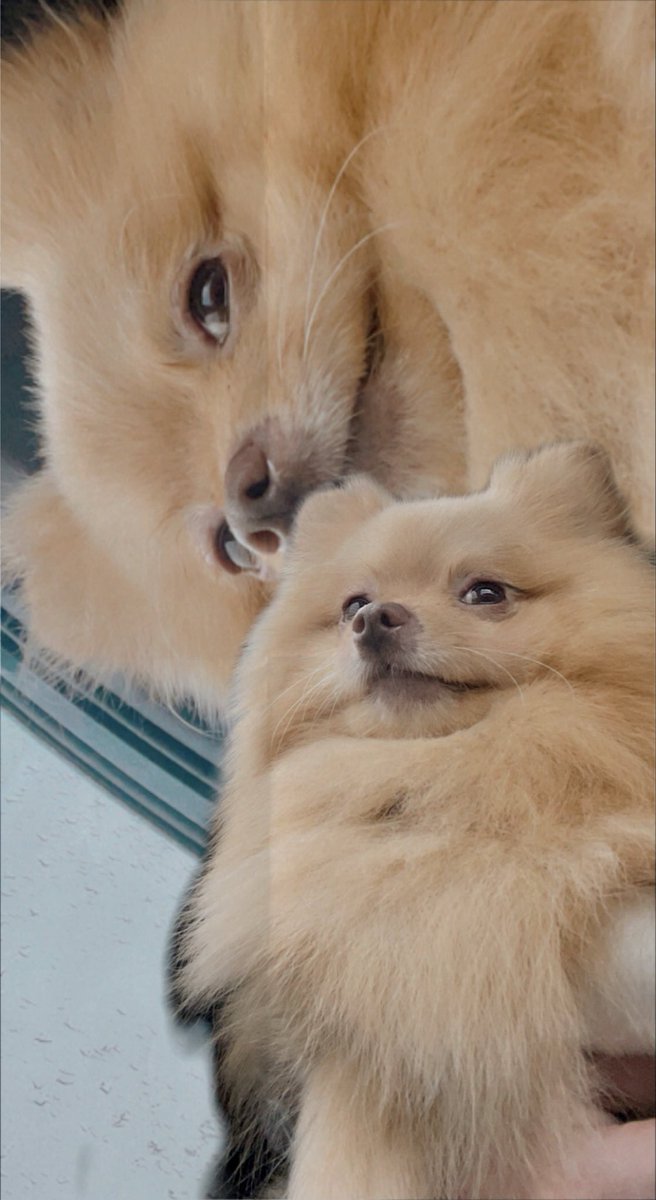 Small Might 𒉭 tweet media