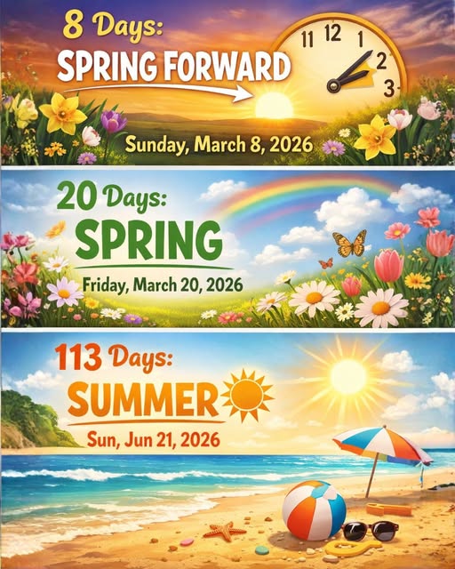 😊☀️🪻🐦🌷