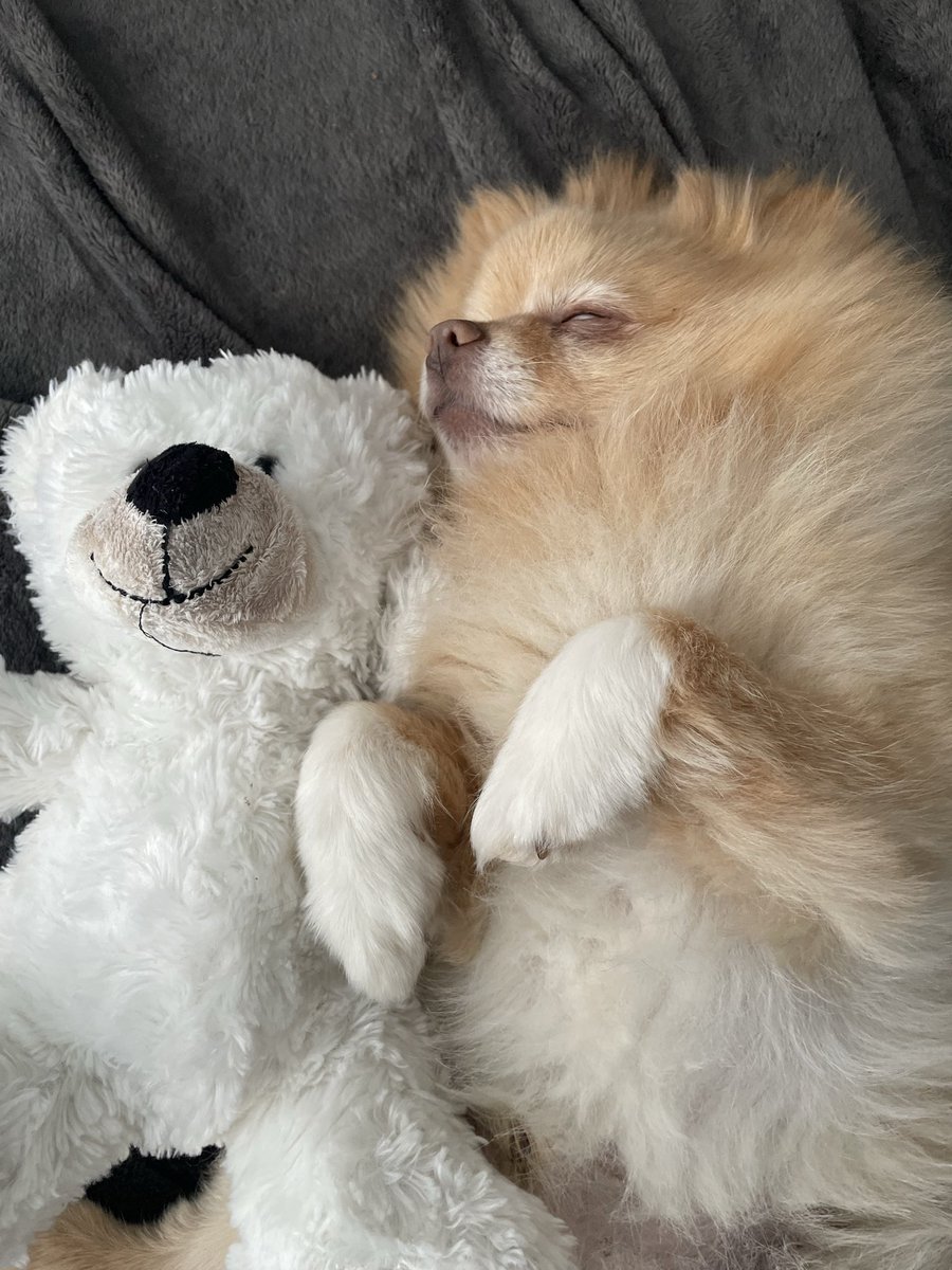 Small Might 𒉭 tweet media