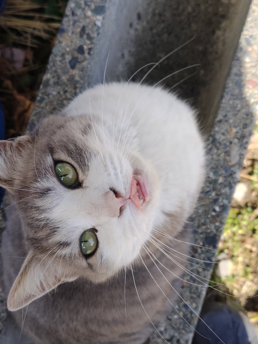 しのむ tweet media