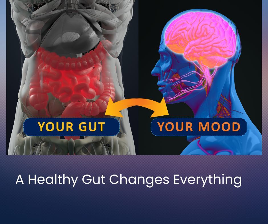 IgBioscience's tweet photo. Gut health plays a key role in digestion, immunity, and overall wellbeing.
Our Immustem Bovine colostrum supports the gut lining and promotes healthy digestion—one scoop at a time. Scientifically proven. 
#GutHealth #DigestiveWellness #ColostrumDaily 
https://t.co/hx75Ta5Frg https://t.co/fqzVnizPfy