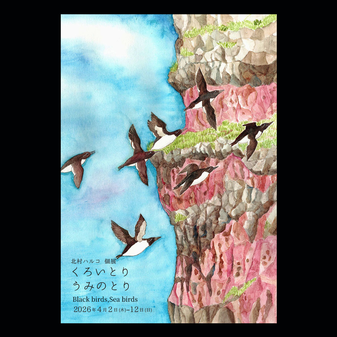 ○個展のお知らせ○ 「くろいとりうみのとり」 2026/4/2(木)～12(日