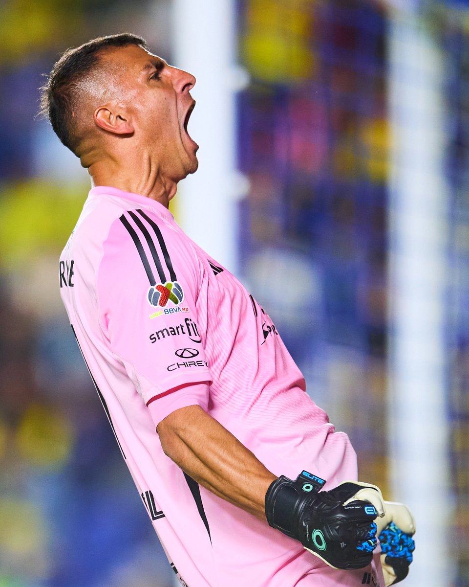 🗣️ ¡Somos los Tigres, carajo!