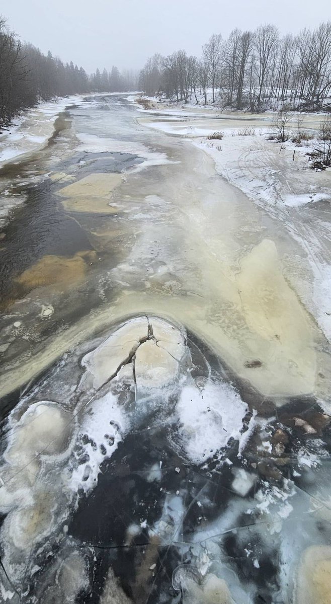 Aivar Ruukel tweet media