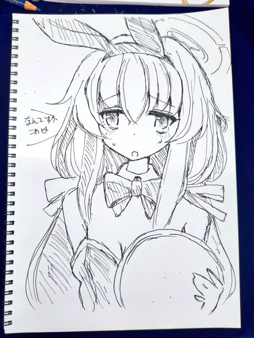 ウイでゴンス 