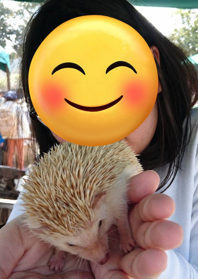 lucifer (@lucifercats2) / Posts / X