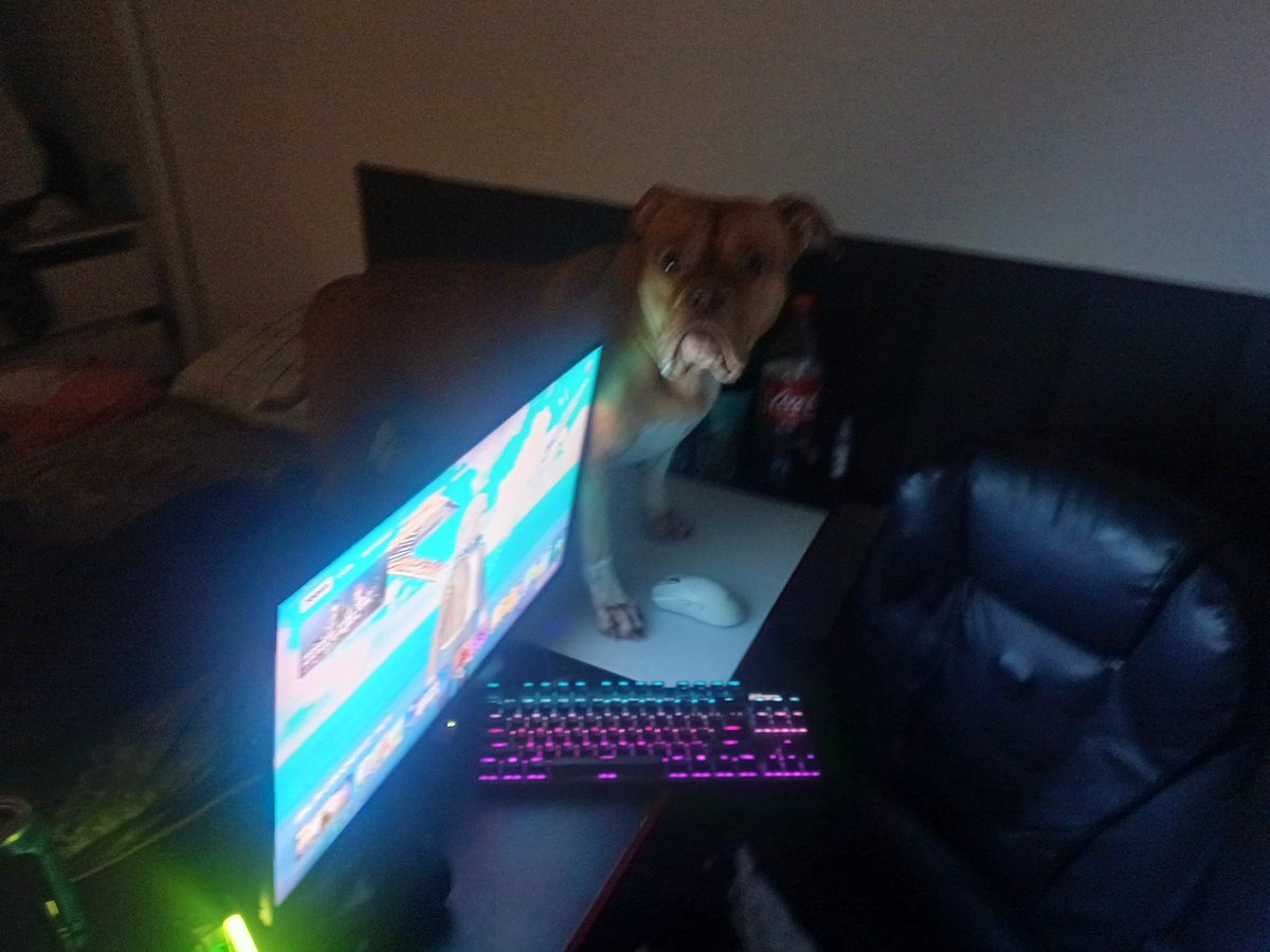 Avaliem o meu setup(ignorem o pongao)