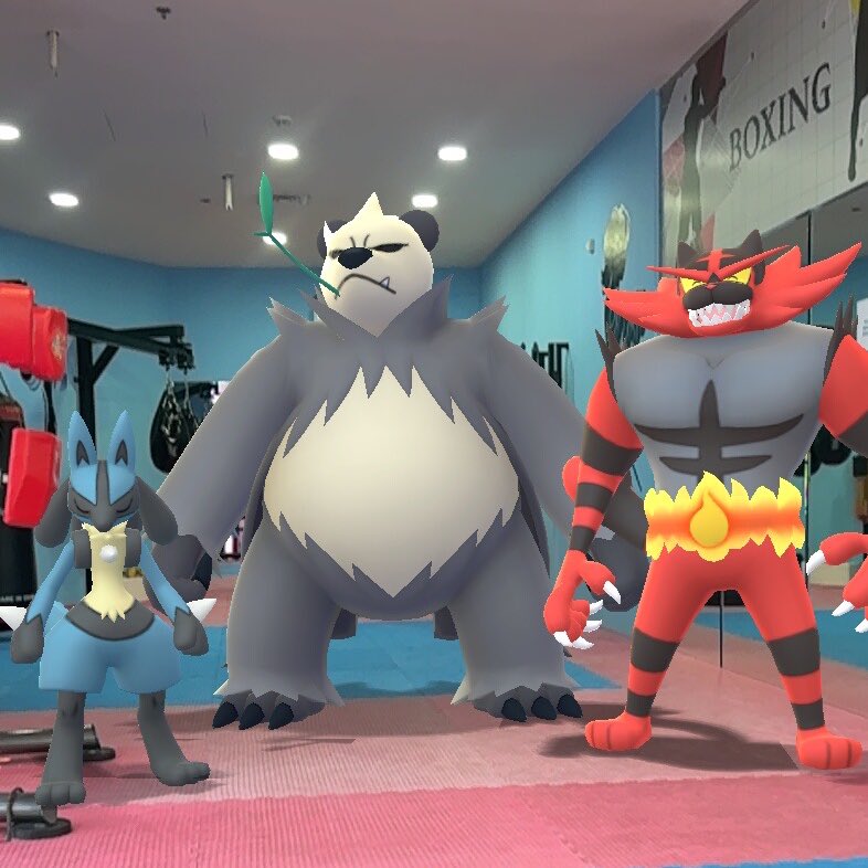 Black Pokémon trainer appreciation post! 

You + Your ace Pokemon 
Me &amp; “The Beast Trio” 

#Pokemon30