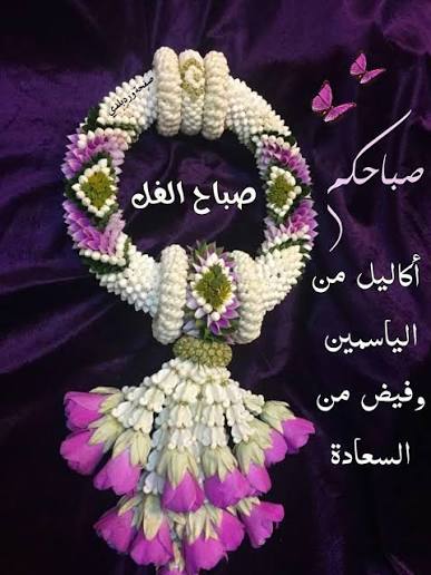 nagahlibya's tweet photo. ✍البشاشـة والـوّد ﻭﺍلإهتمـام ﻭالكلمة الطيبـة والقلـبُ الصافي ﻫﻢ الجمال الحقيقي ﻷﻱ ﺇنسـان، لا شيء أسهل من الكراهية أما الحب فيحتاج إلى نفس عظيمة ..
✍ صباحكم أكاليل من الياسمين وفيض من السعادة⚘️
                     🌴 https://t.co/y9pxgU5r0l