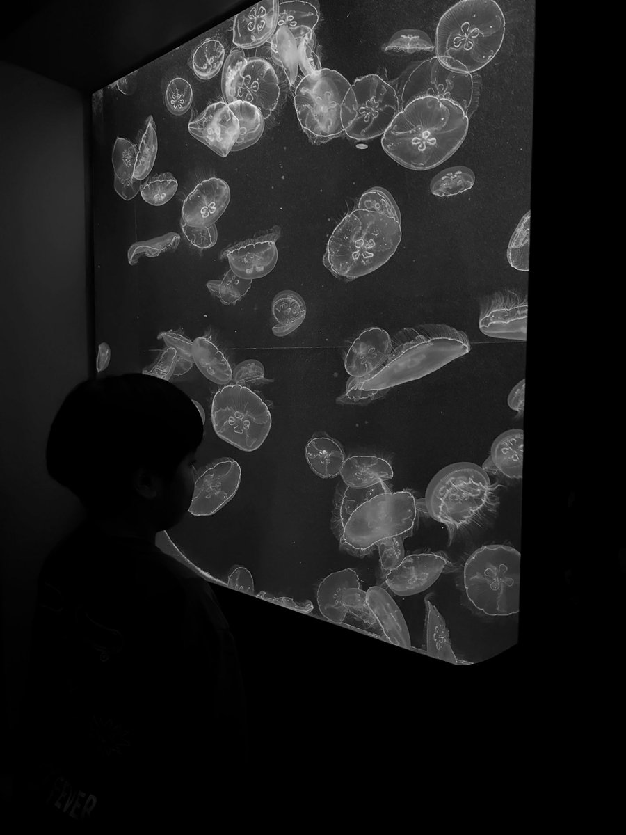 MIYA(みや)BASS (@miyazato385) / Posts / X