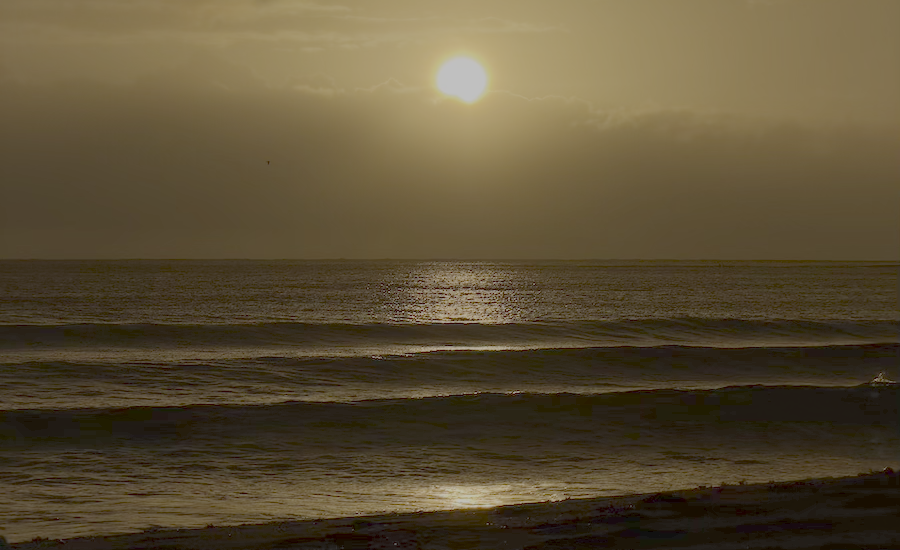 Phil Read tweet media