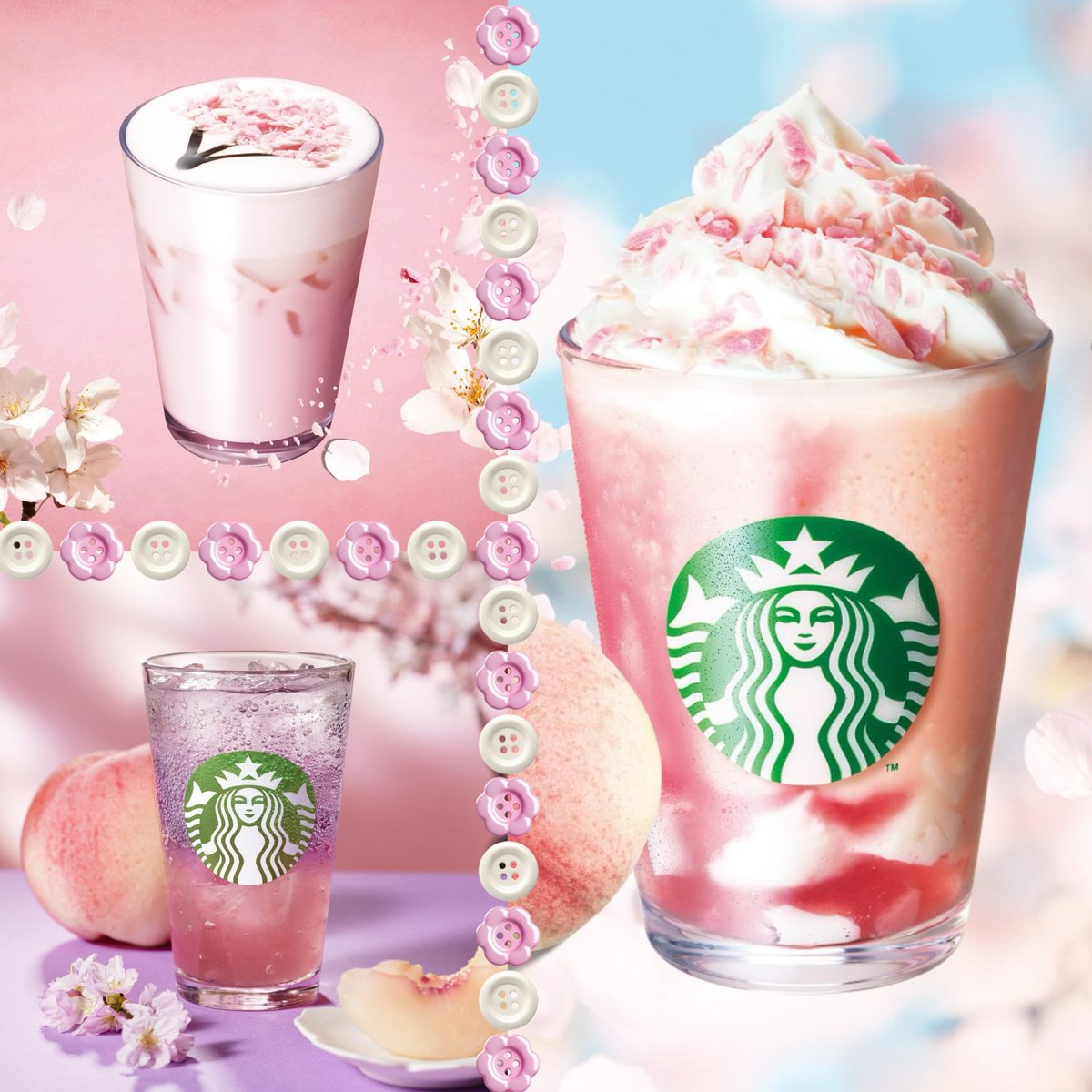 🌸🎁✨TKCかず粉🍼🤍 ̖́-
無事高校卒業したよ企画🌸🎁✨

／
　スタバドリンクチケット代☕️✨
    700paypay を3名様に
　プレゼントします❣️
＼

▼応募方法▼
◾︎<a href="/79910_/">かず【TKC】アホが@かずぺろ</a> 
◾︎<a href="/NecocoMochi/">しょんぼりにゃん粉！👑🐈‍⬛【TKC代表】【NeoU】</a>
                        ↳𝐅+𝐑𝐓
◾︎リプにてお祝いコメント🌸