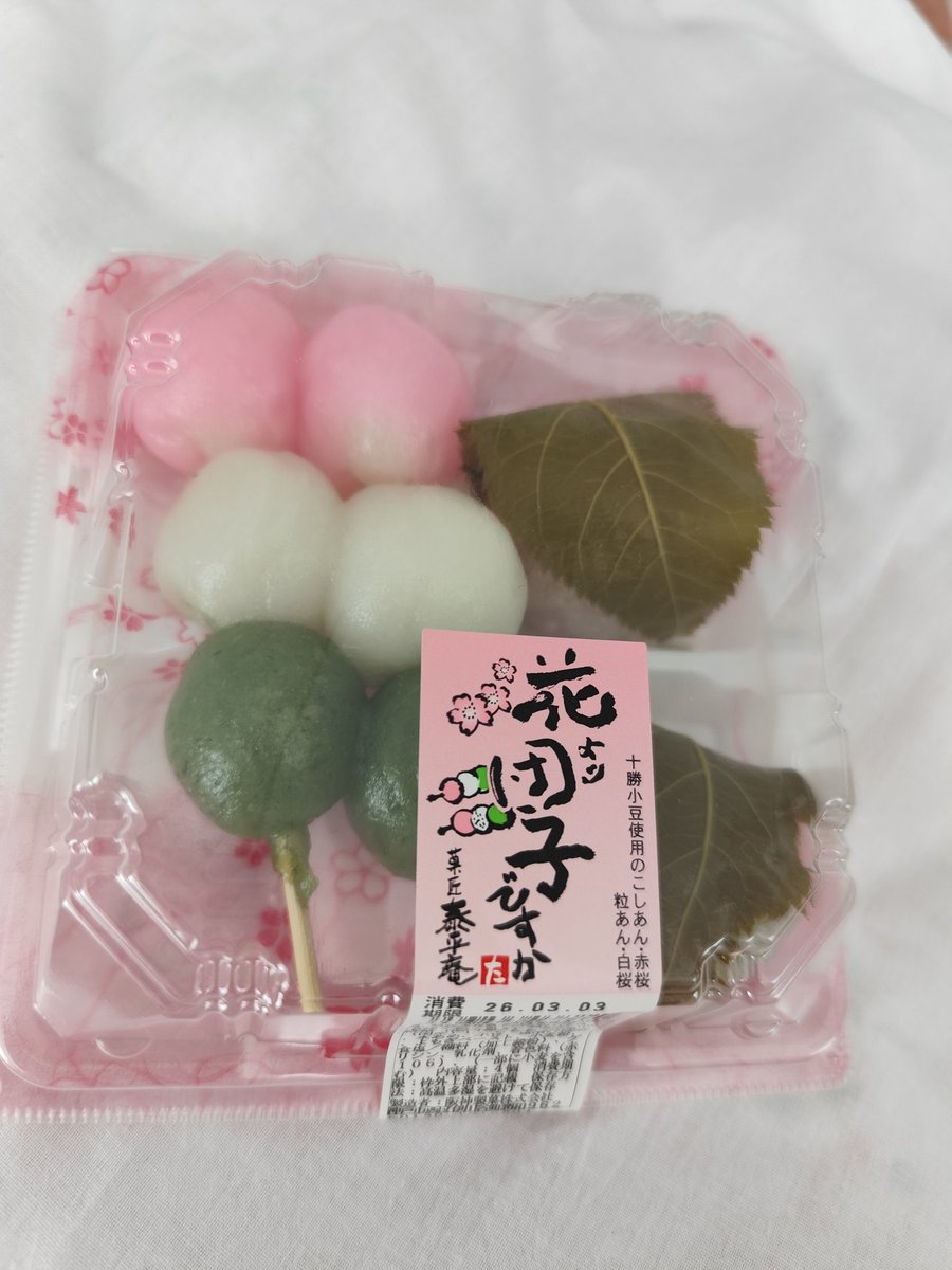 Post by 新スカッシュK on X: 花より団子