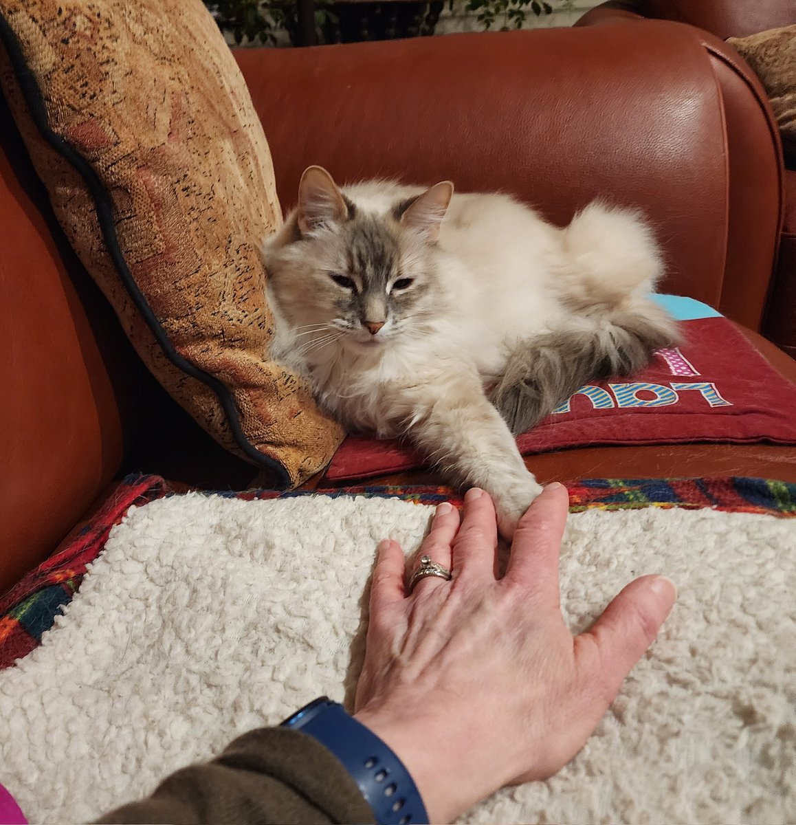 Kathleen Gorman #DecolonizeSocialWork #Anti-Racist tweet media