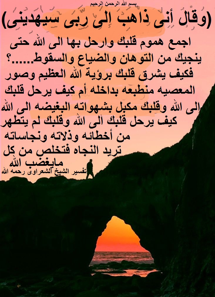 شهلا سفيان tweet media