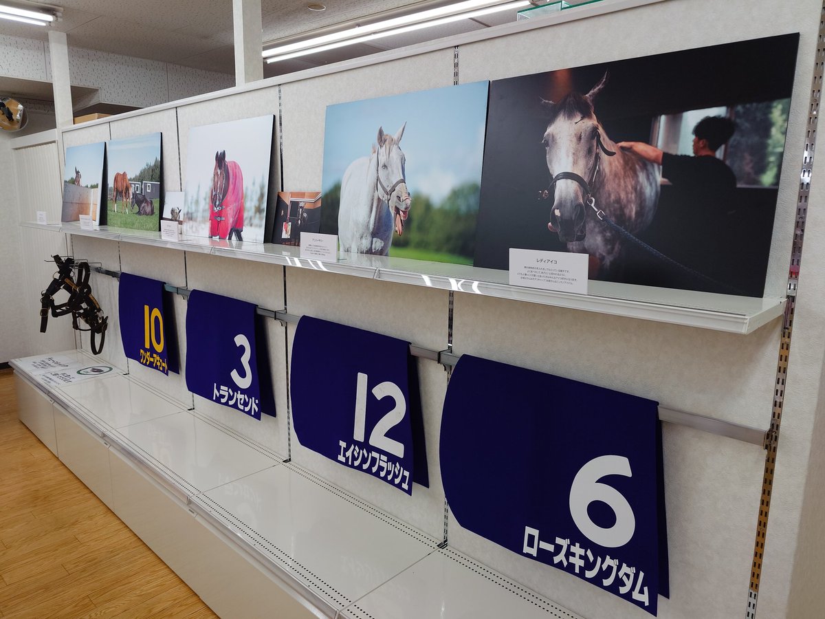 神淡ひでちゃん🌂🚑️ (@nintenhidetyan) / Posts / X