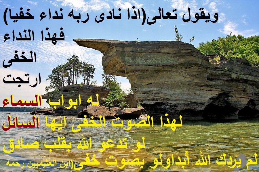 شهلا سفيان tweet media