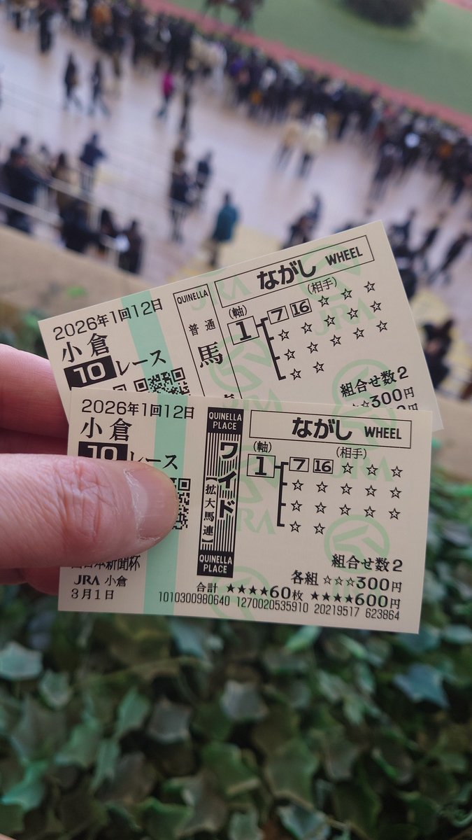 全日本縦目選手権で勝てそうな馬券