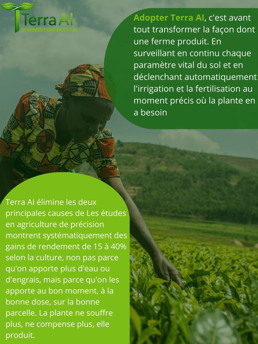 Kennedy kitoko tweet media