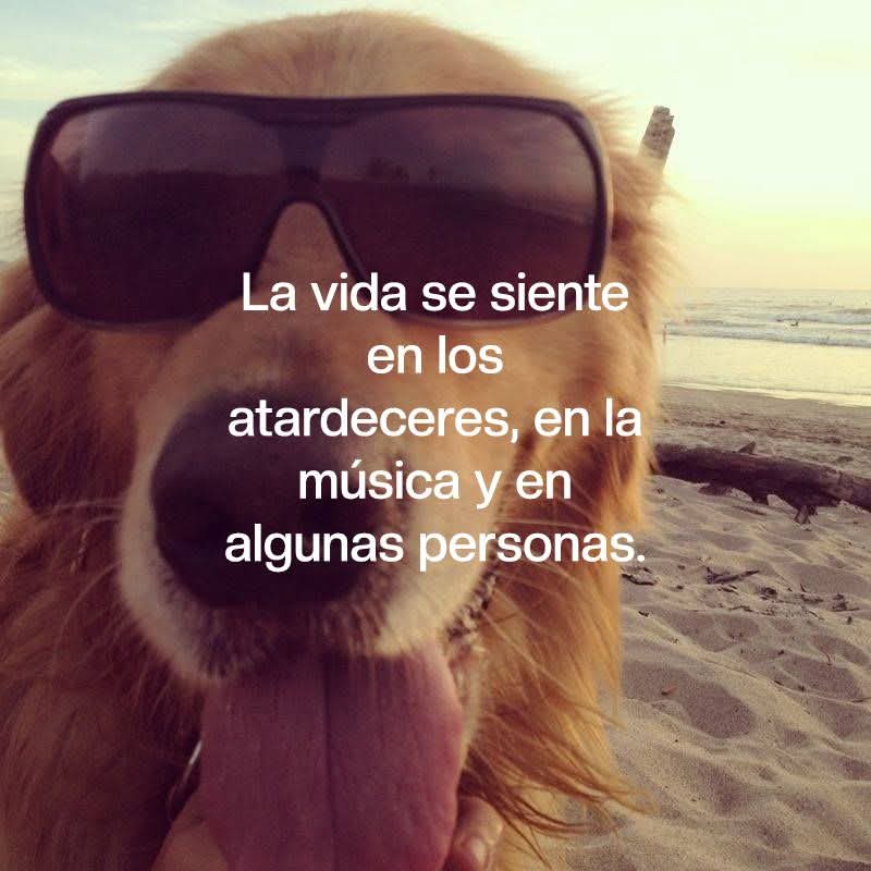 M O T I V A N D O T E (@m0tivand0te) on Twitter photo 