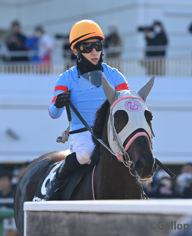 中山9R、#富里特別 は2番人気 #ヤマニンアドホック が勝利！ 後続に5