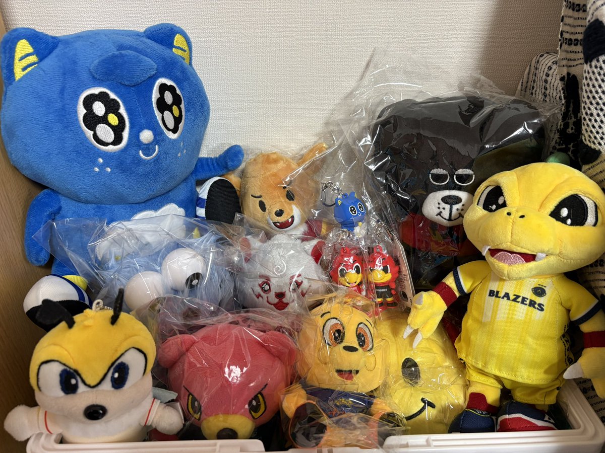 昨日三島に行き、ようやく揃った✨
近いけど遠いから、サントリーの2人は昨シの小さいので我慢😅

気づいたら、一体、違うの紛れてる🤣

#SVリーグバレーボール