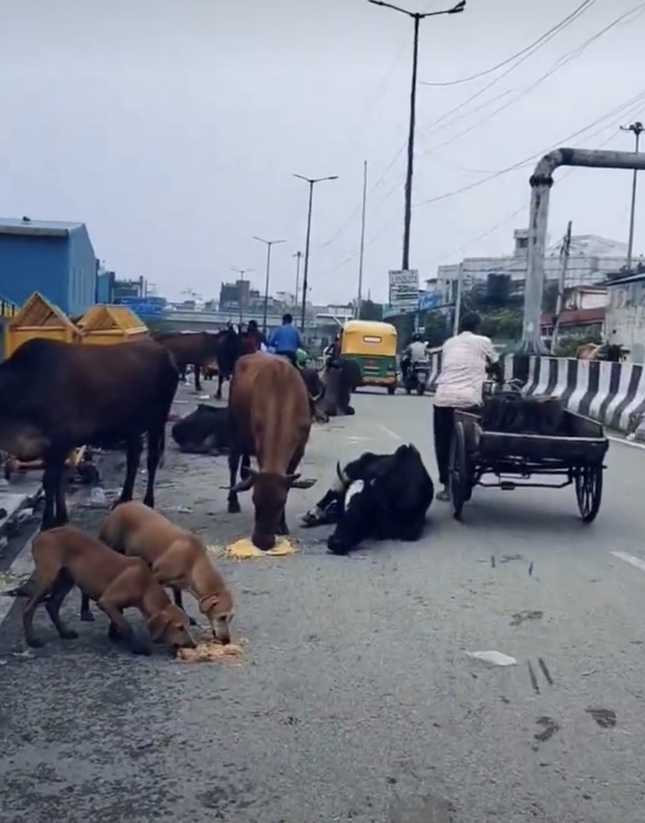 Delhi 

Before US attack.   After US attack on Iran