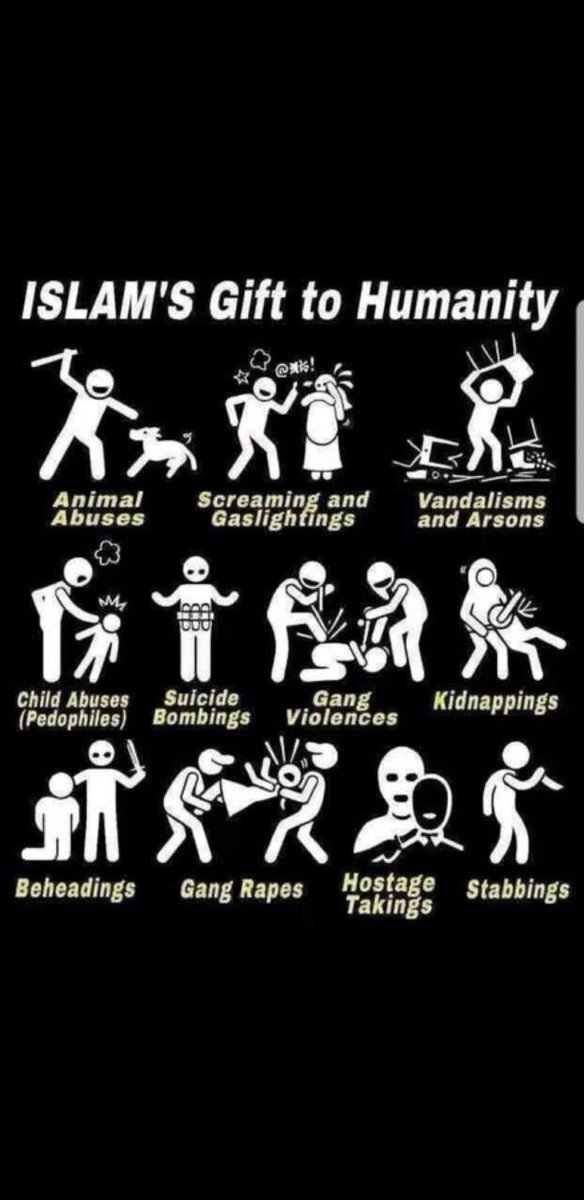 <a href="/Yazidisto/">Shukri Hamk</a> 🤬👿🤬