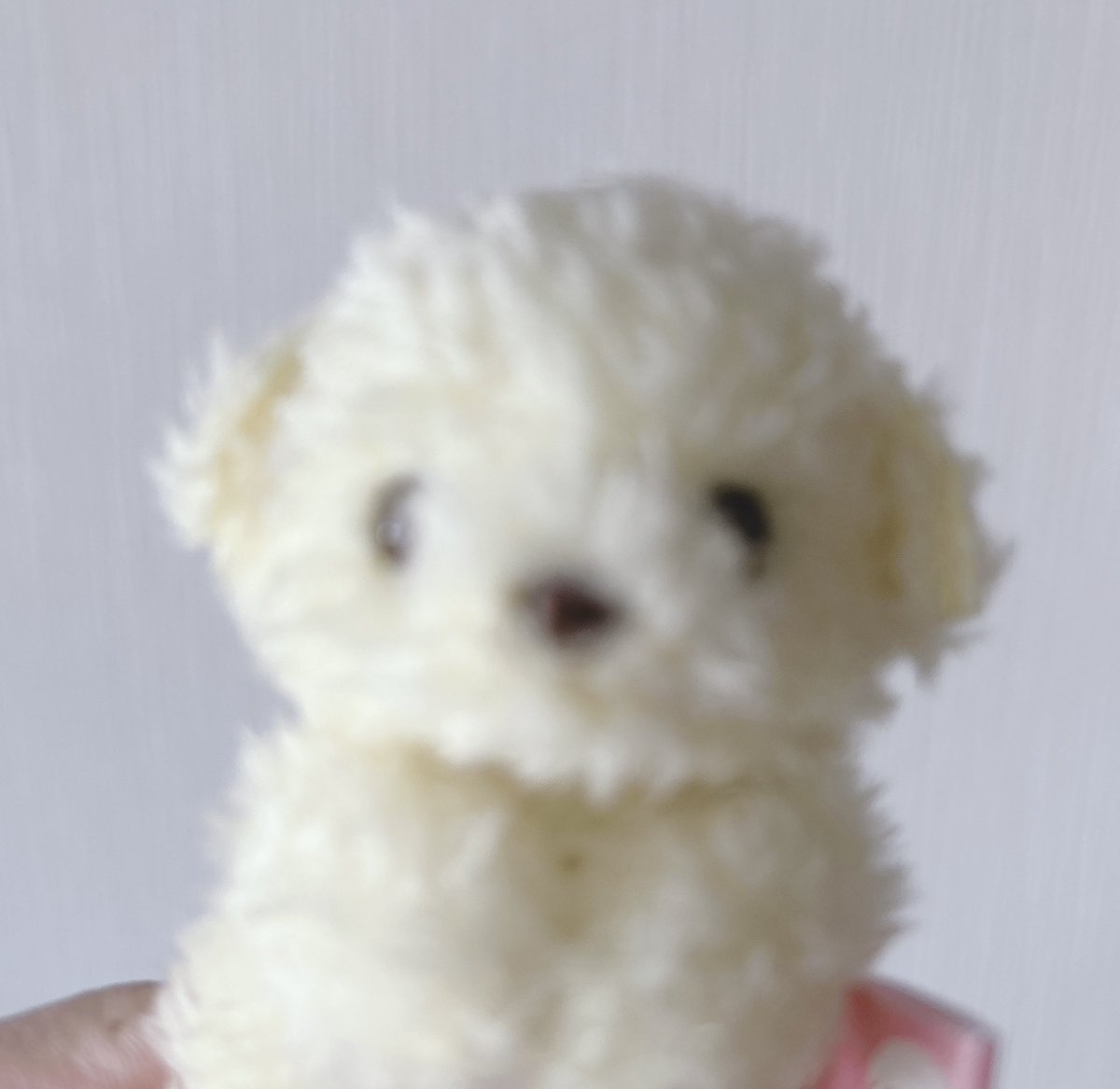 ∴∵  ⌒❍჻. (@riririri_pipipi) on Twitter photo 