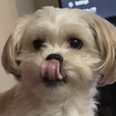 Unfiltered Runie tweet media