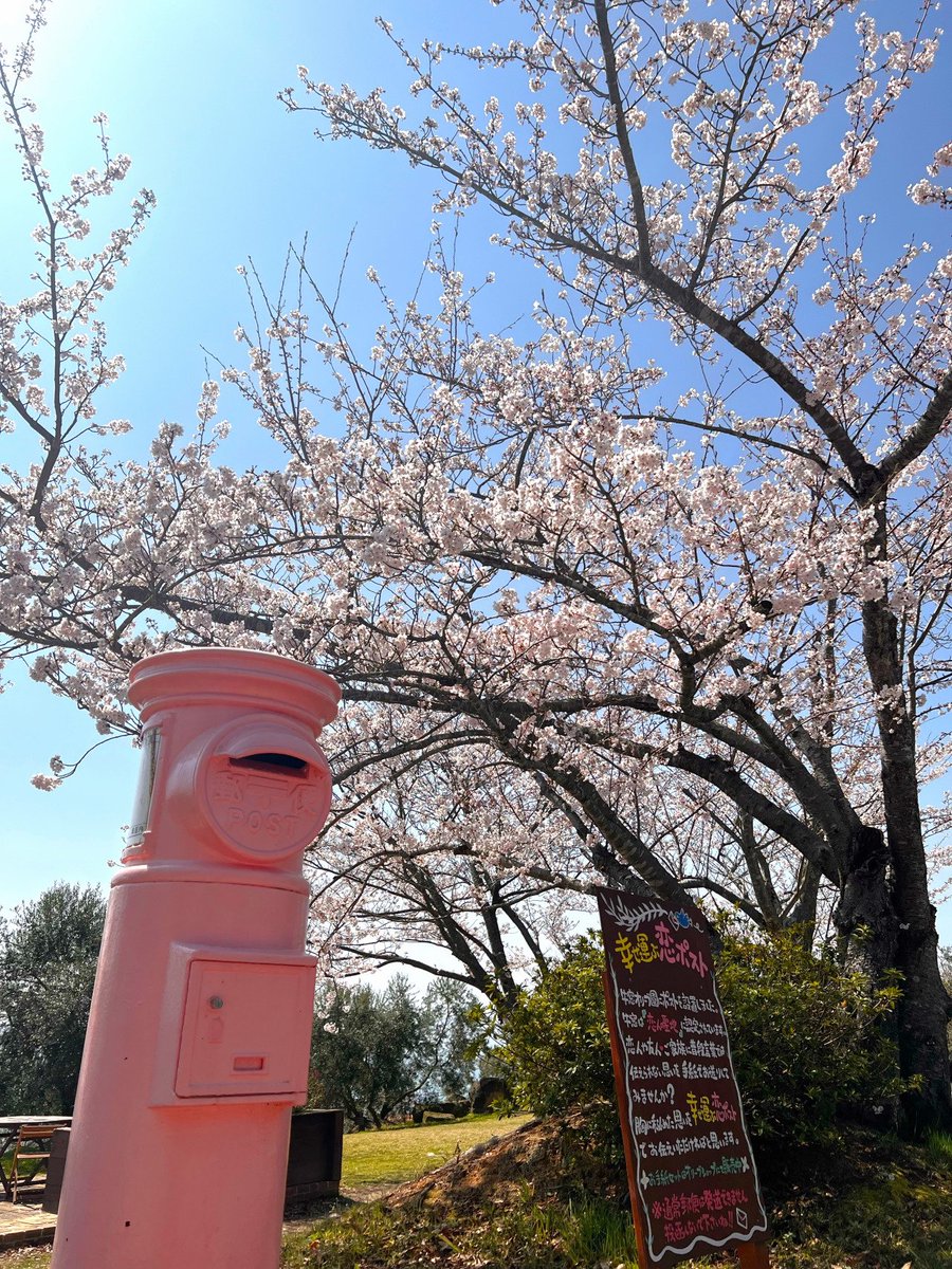 3/22に開催される第241回備前福岡の市は20周年の記念市！（すごい）
昨年12月より改修工事中だった「東原邸棟梁の家」がリニューアル✨️
3/20〜29まで連日無料公開され、日替わりのイベントも行われるそうです！詳報が楽しみ♪
牛窓オリーブ園では「桜お花見散歩ポイントラリー」が開催されます🌸