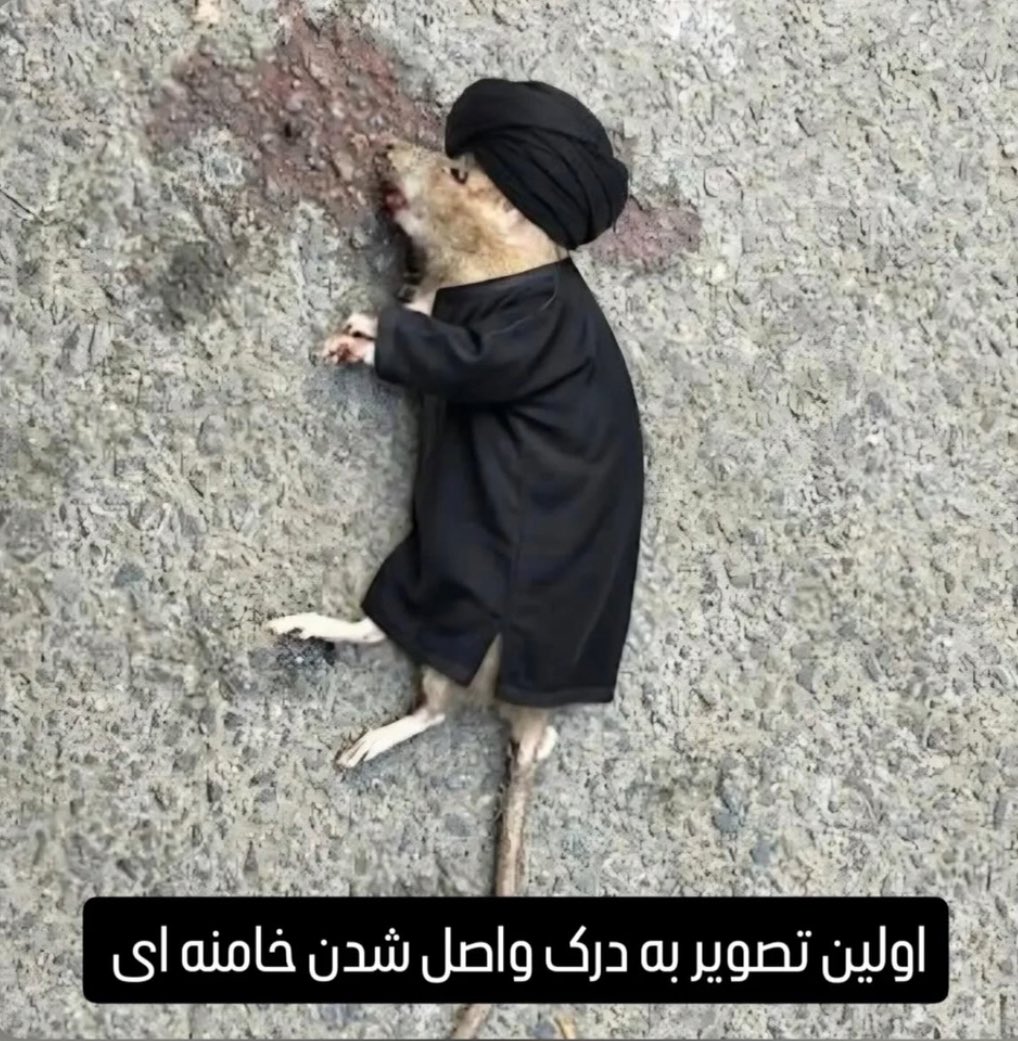 MahshadBayat's tweet photo. عکسشو پیدا کردم

#خامنه‌ای_به_درک_واصل_شد https://t.co/4zn4op0fqF