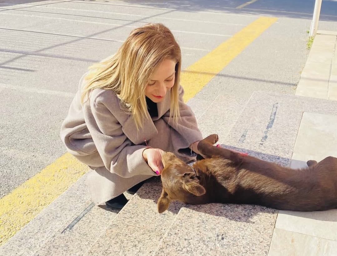 İzmir’de bir okulda Müdür Yardımcısı olarak görev yapan Burcu Öğretmen, öğrencilere merhameti öğretmek amacıyla 20 kedi, 4 köpek, 5 papağan ve 3 keçiyle “hayvansever okul” modeli oluşturdu.