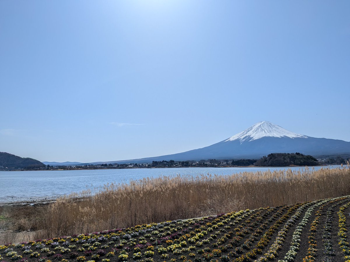とみのおやま
超絶いい天気＆超絶綺麗でした☀️