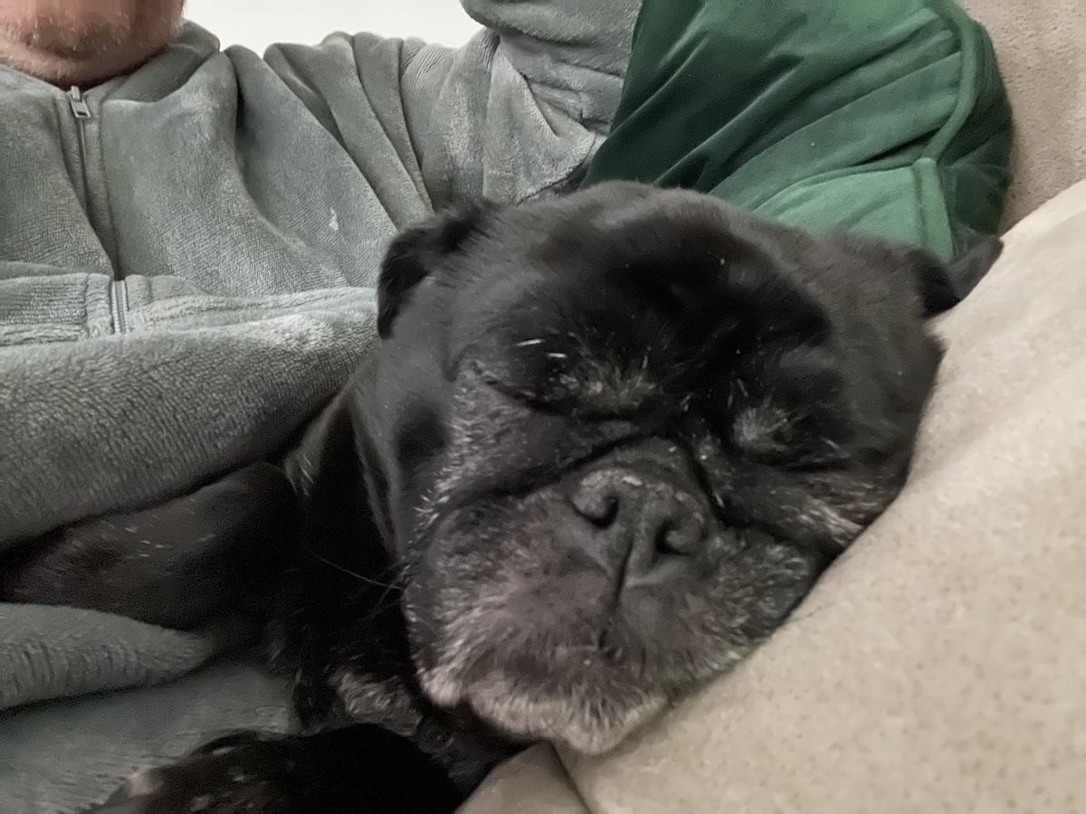 michael dewison tweet media