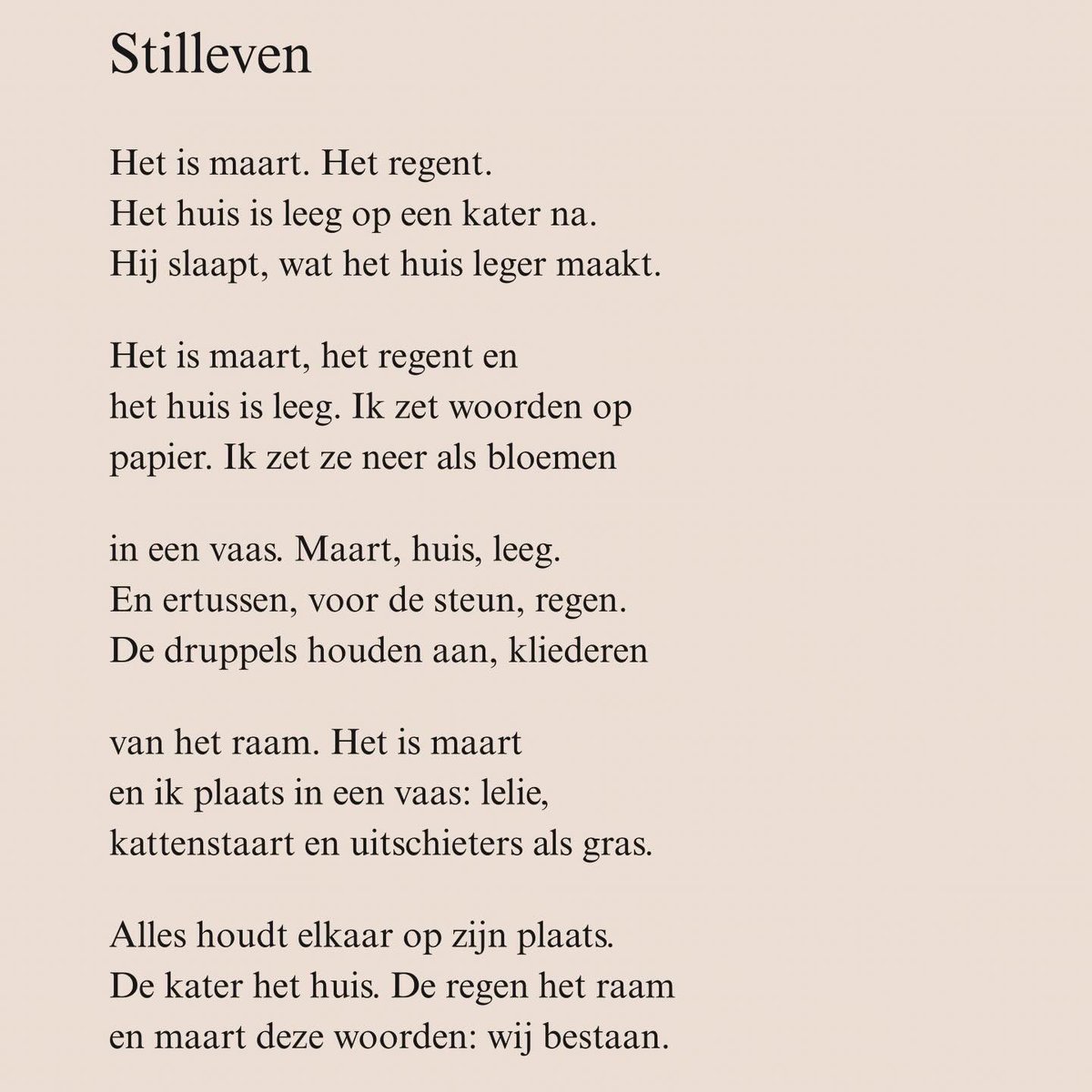 Max Temmerman 🇧🇪 tweet media