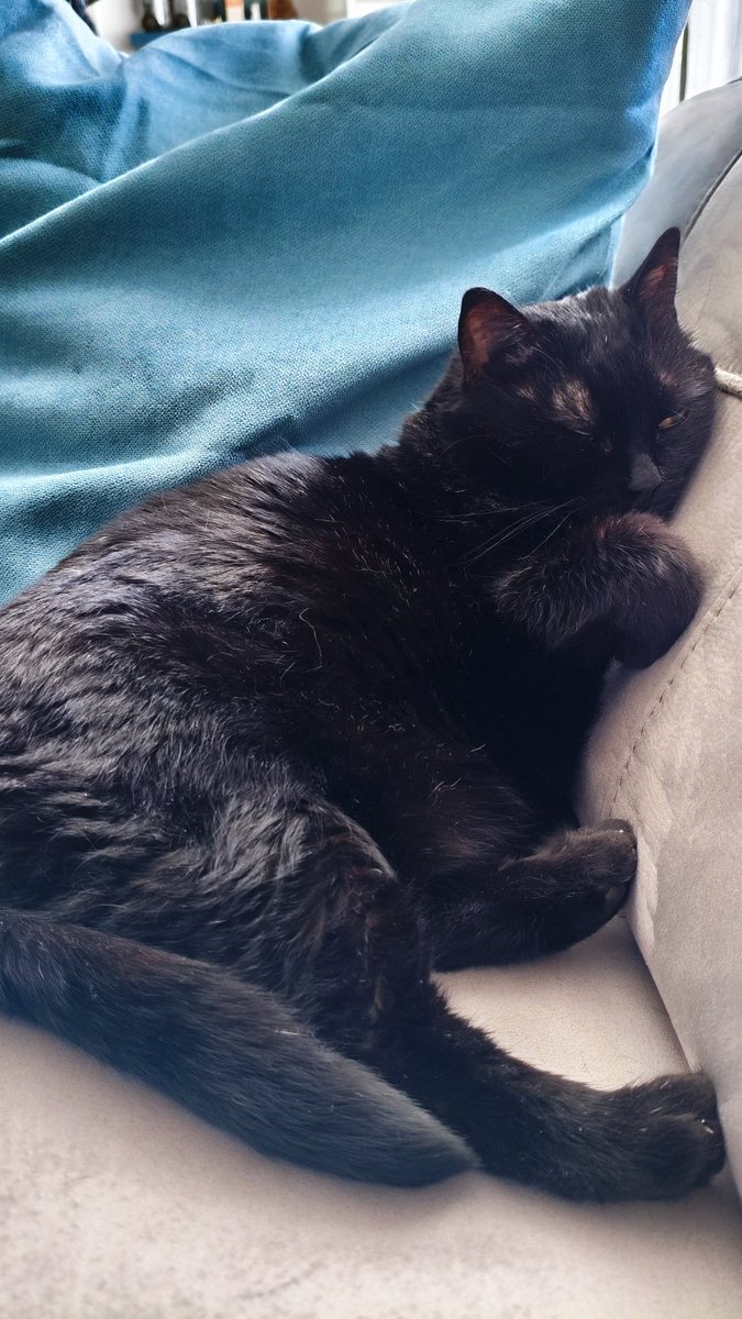 Matthieu tweet media