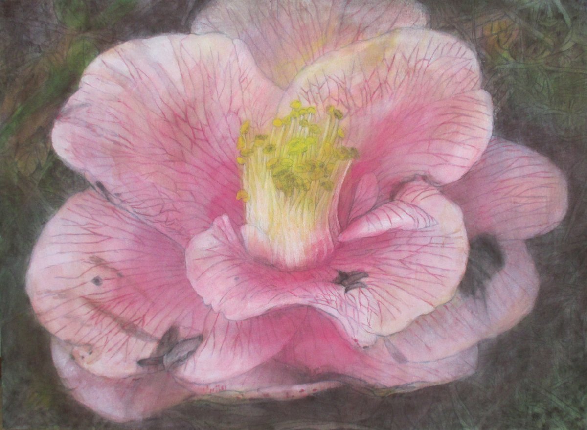 今日の昔の作品です。 #conceptualart #nft #nftart #現代美術