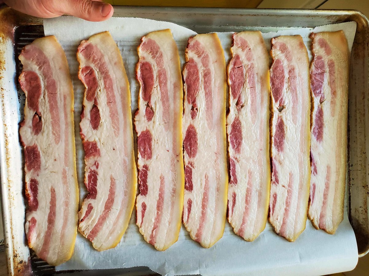 Sama Hoole tweet media