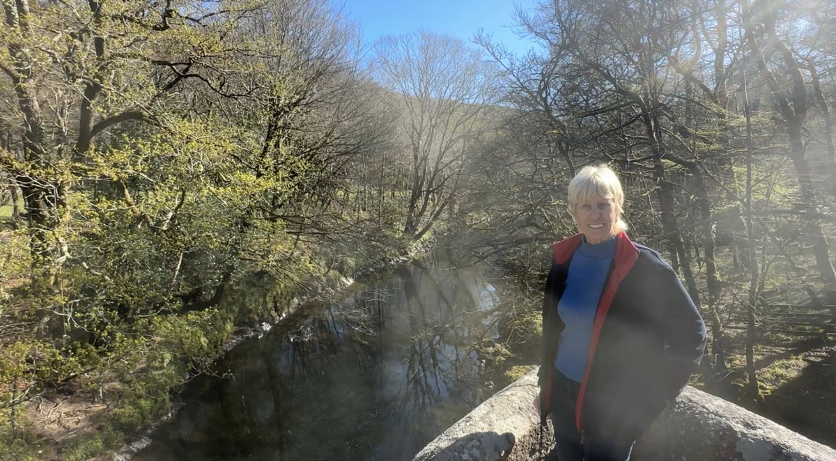 David Whitlock tweet media