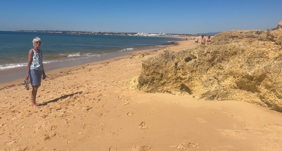 David Whitlock tweet media