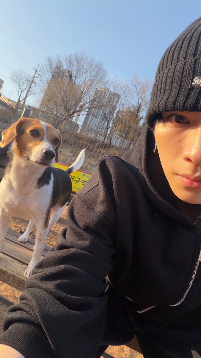 Your JunJun 💬 tweet media