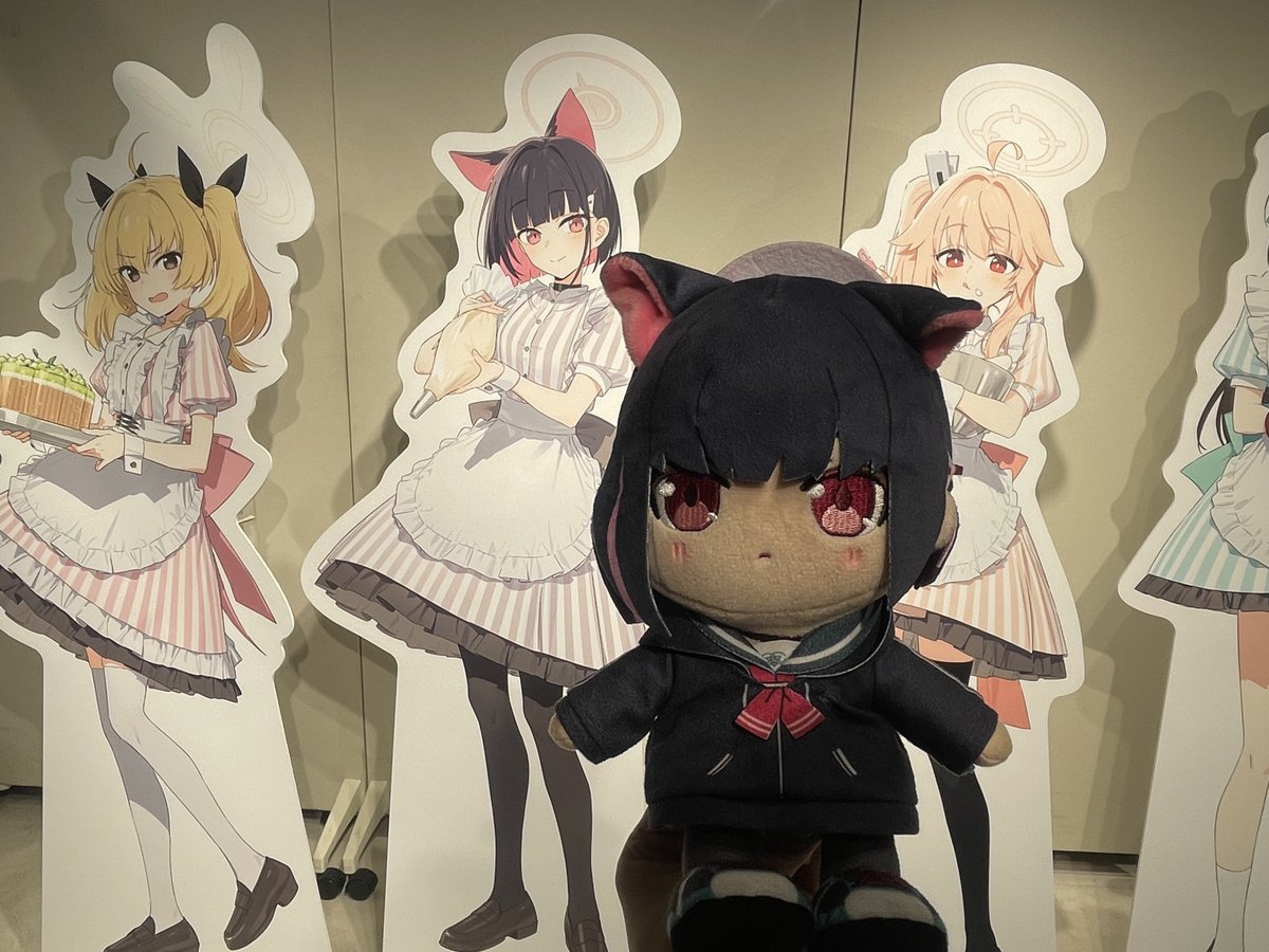 カズサ、カズサだよ🐈‍⬛