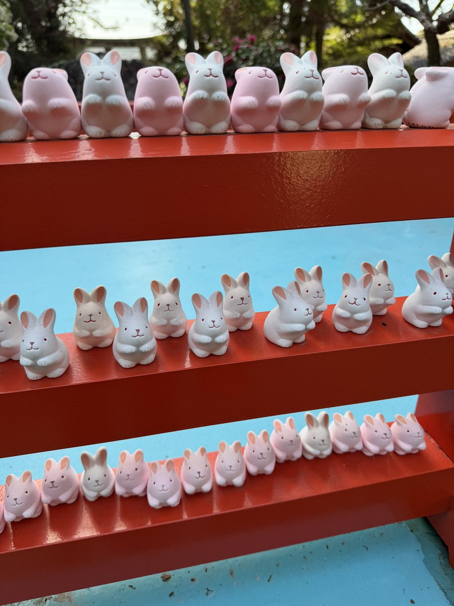 bunarium's tweet photo. Human is exceptionally happy right now…she went to a BUNNY SHRINE!!!!! https://t.co/FoEqKfH1ZC