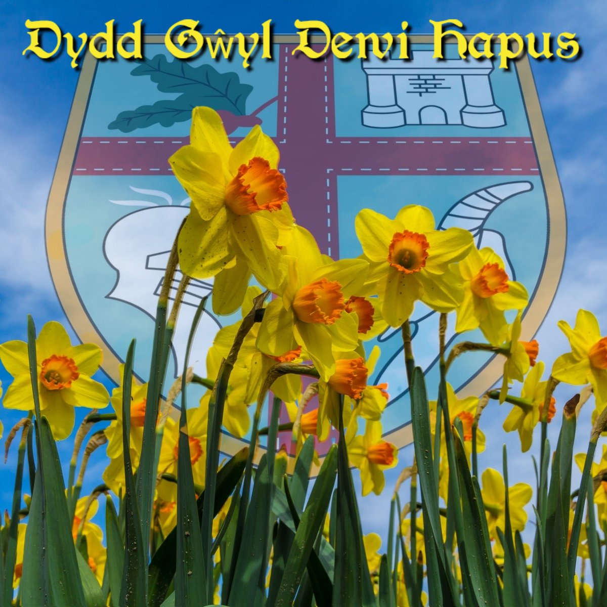 Beddau R.F.C. 🏉 tweet media